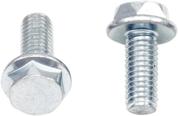 Bolt - Flange / M5 x 12 / 10-Pack 2404-0479