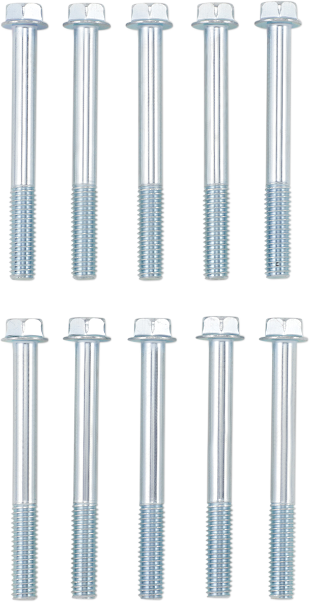 Bolt - Flange / M6 x 55 / 10-Pack 2404-0865