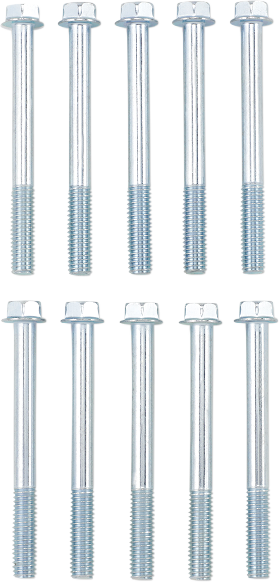 Bolt - Flange / M6 x 60 / 10-Pack 2404-0866