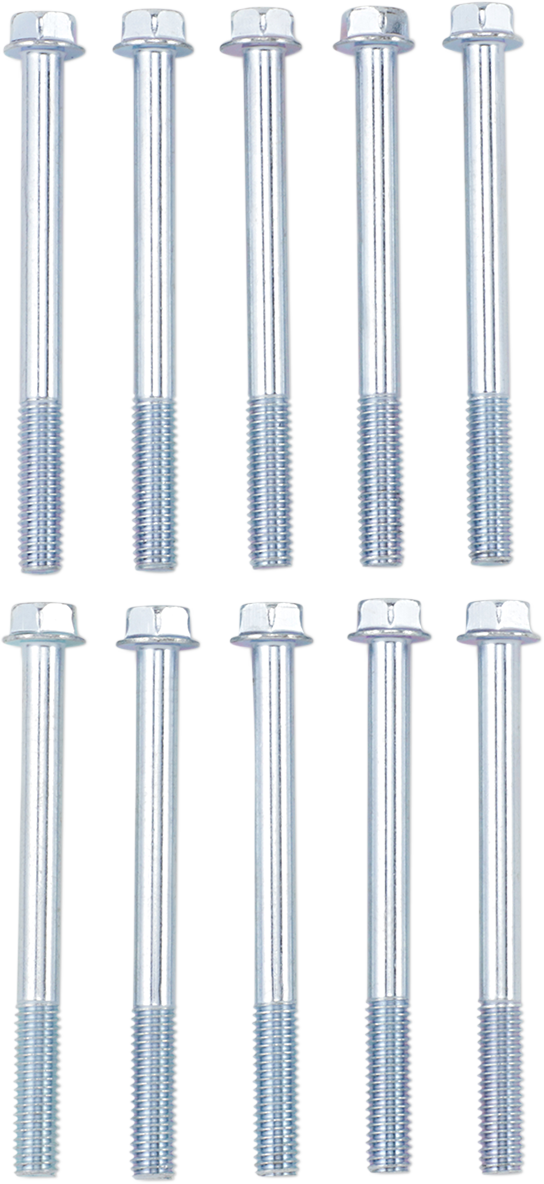 Bolt - Flange / M6 x 65 / 10-Pack 2404-0867