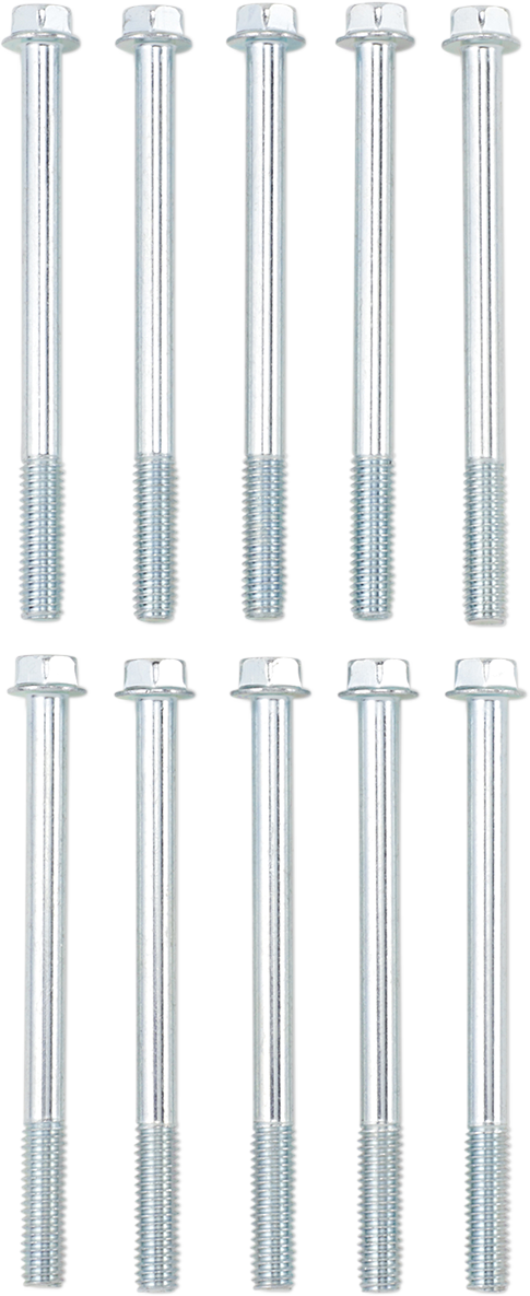 Bolt - Flange / M6 x 75 / 10-Pack 2404-0869