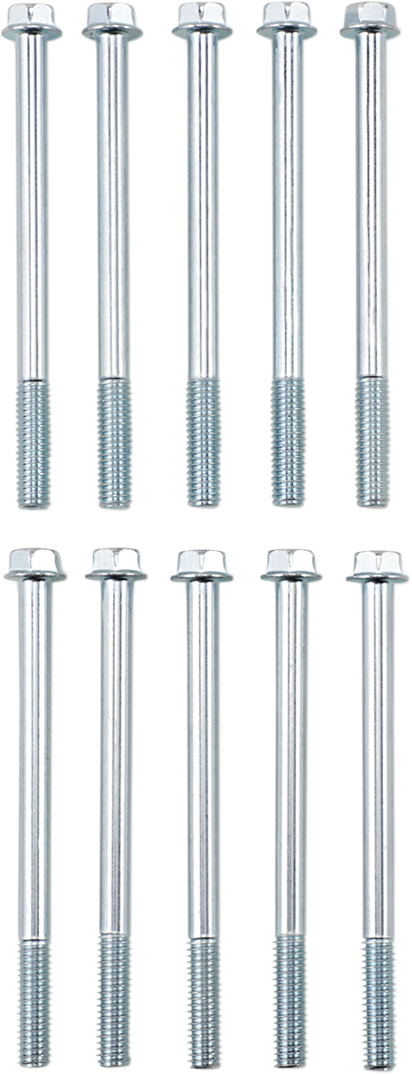 Bolt - Flange / M6 x 80 / 10-Pack 2404-0870