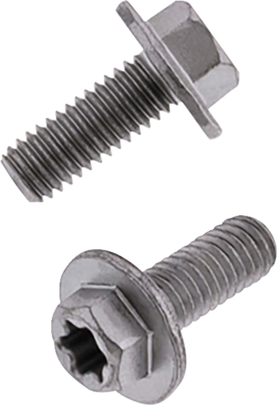 Bolt - Torx/Large Flange / European / M6 x 15 / 10 Pack 2404-1058