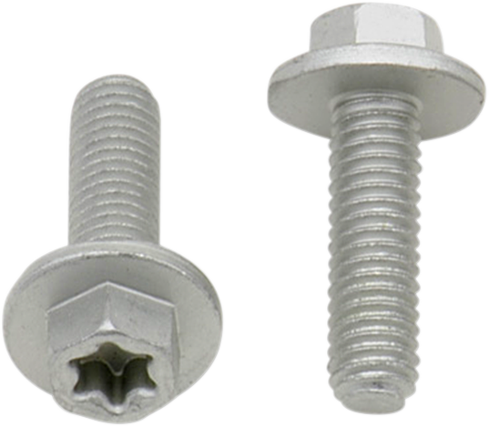 Bolt - Torx/Large Flange / European / M6 x 20 / 10 Pack 2404-0436