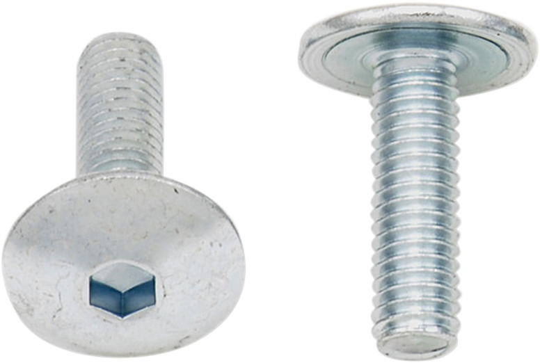 Bolts - Fairing / M6 x 20 / 10-Pack 2404-0382