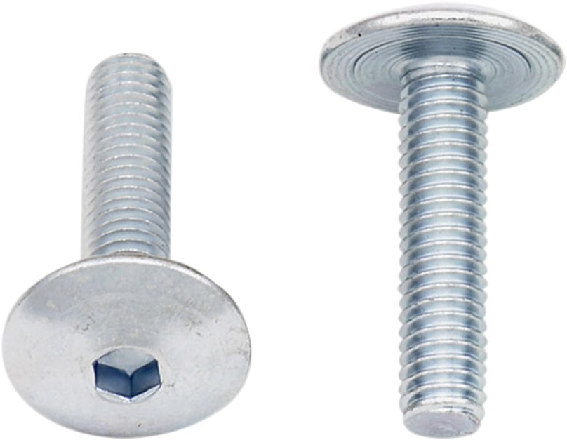 Bolts - Fairing / M6 x 25 / 10-Pack 2404-0478