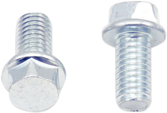 Bolts - Flange / M6 x 12 / 10-Pack 2404-0402