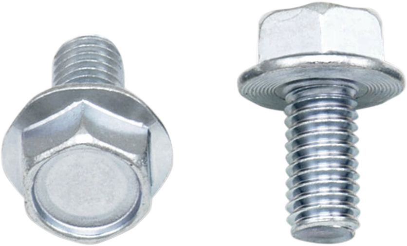 Bolts - Flange / M6 x 12 / 10-Pack 2404-0418