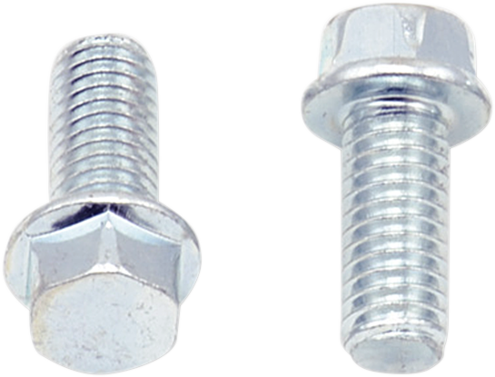 Bolts - Flange / M6 x 14 / 10-Pack 2404-0403