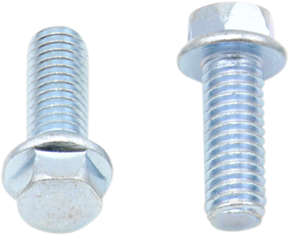 Bolts - Flange / M6 x 16 / 10-Pack 2404-0404