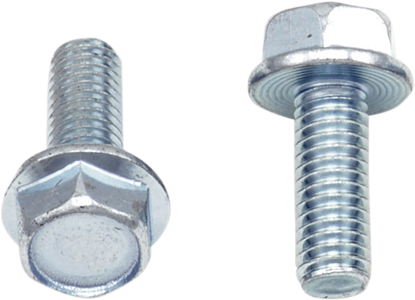 Bolts - Flange / M6 x 16 / 10-Pack 2404-0419