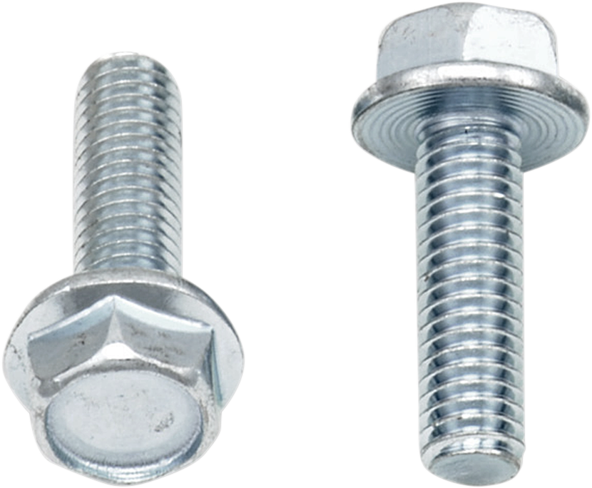 Bolts - Flange / M6 x 20 / 10-Pack 2404-0420