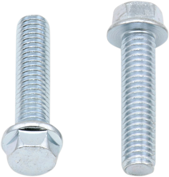 Bolts - Flange / M6 x 25 / 10-Pack 2404-0407