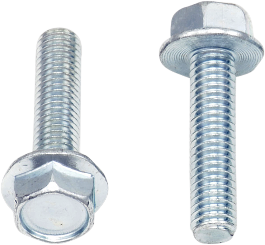 Bolts - Flange / M6 x 25 / 10-Pack 2404-0421