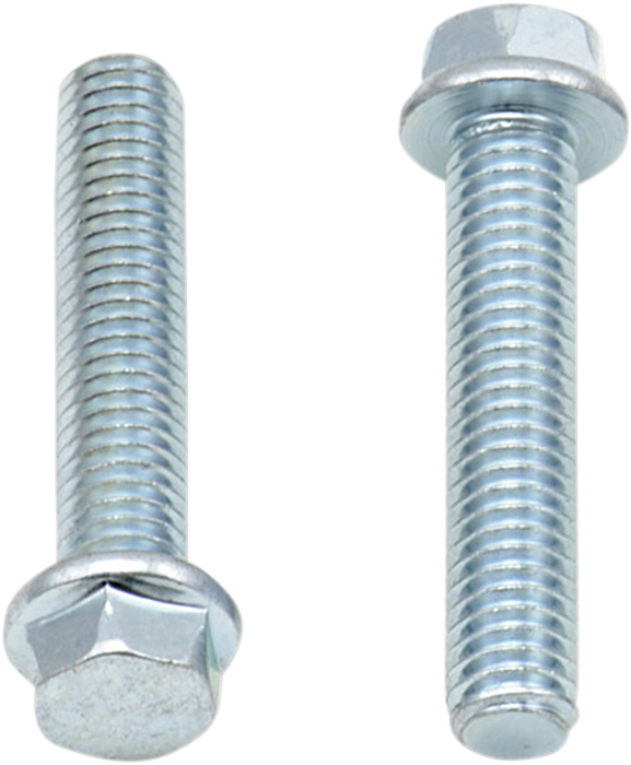 Bolts - Flange / M6 x 30 / 10-Pack 2404-0408
