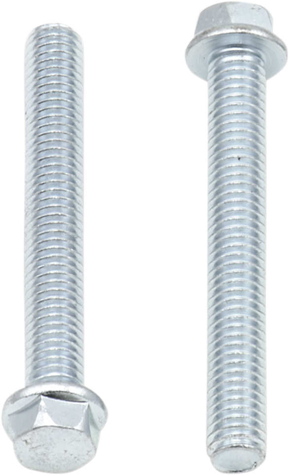 Bolts - Flange / M6 x 45 / 10-Pack 2404-0411