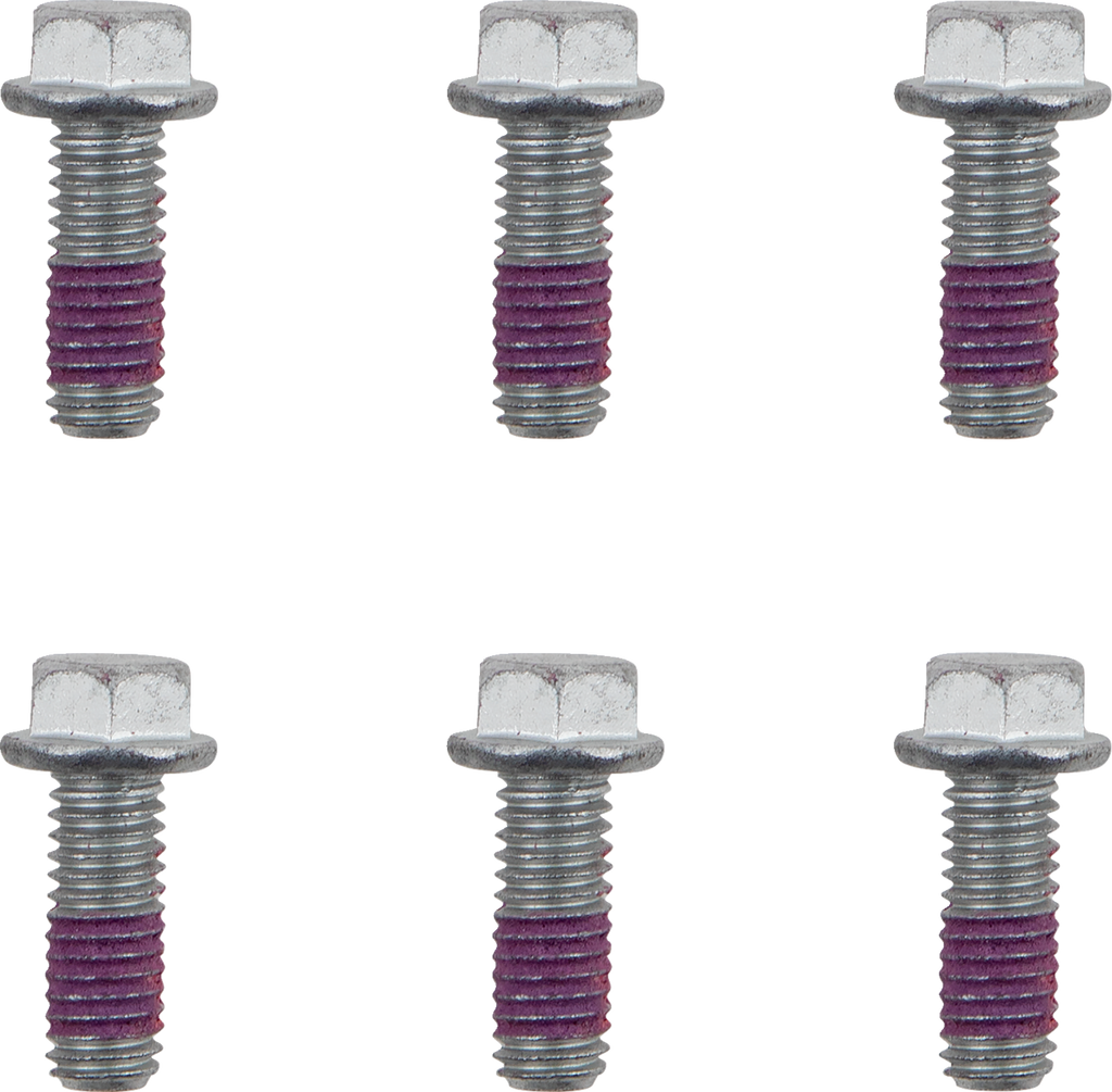 MOTO-MASTER Brake Rotor Bolts - Bolts / Brake Rotor / Torx / M6 x 16 / 6-Pack 2401-1605
