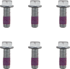 MOTO-MASTER Brake Rotor Bolts - Bolts / Brake Rotor / Torx / M6 x 16 / 6-Pack 2401-1605