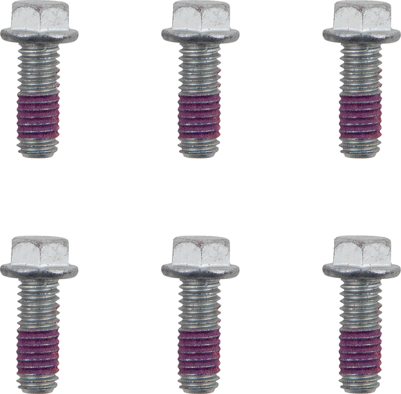 MOTO-MASTER Brake Rotor Bolts - Bolts / Brake Rotor / Torx / M6 x 16 / 6-Pack 2401-1605