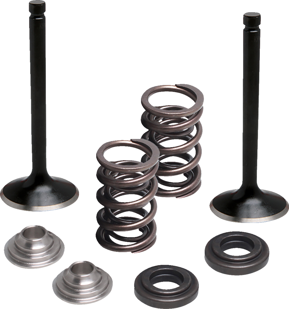 MOOSE OFFROAD Valve and Spring Kit