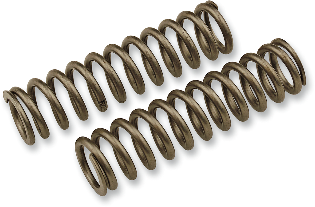 RACE TECH Fork Pressure Springs