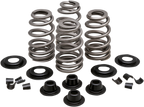 KIBBLEWHITE Beehive Valve™ Spring Kit
