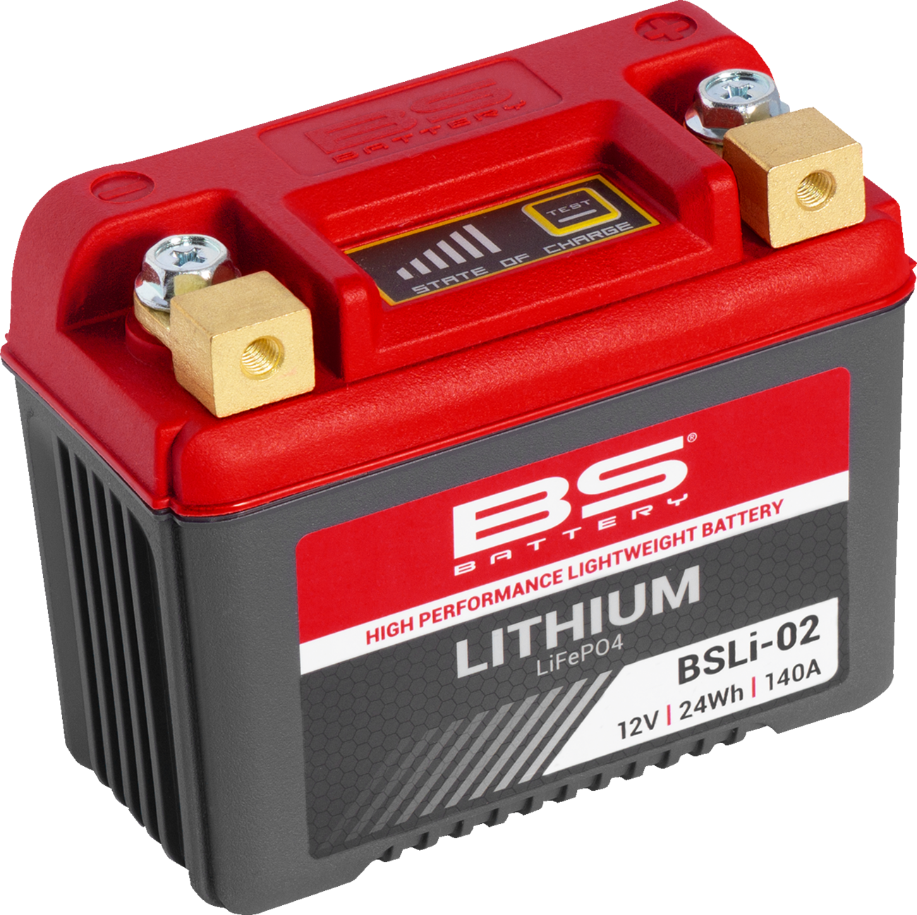BS BATTERY Lithium LiFePO4 Battery