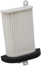 HIFLOFILTRO Scooter Air Filter