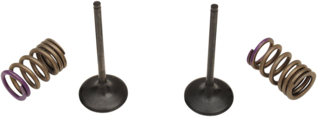 PROX Valve and Spring Kit