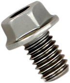 AKRAPOVIC Replacement Exhaust Bolt — Bolt