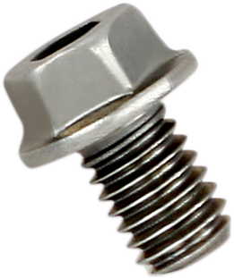 AKRAPOVIC Replacement Exhaust Bolt — Bolt