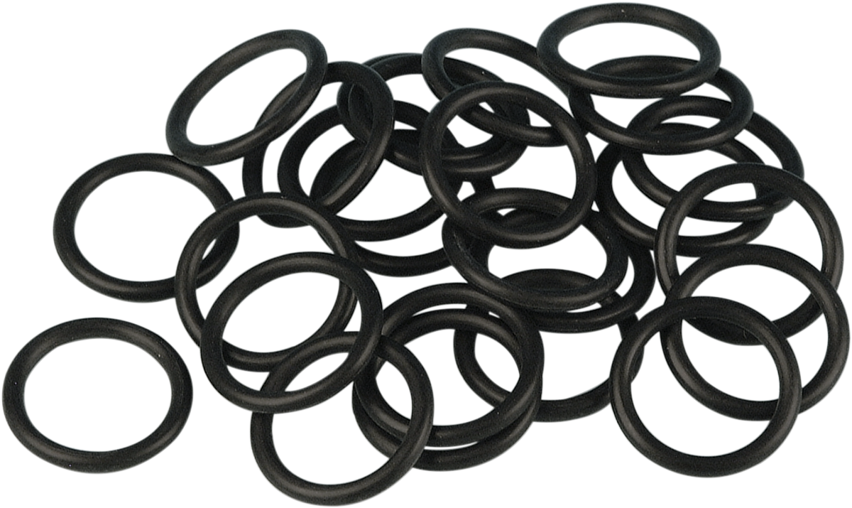 JAMES GASKET Transmission Filler Plug O-Ring - Evolution DS-174379