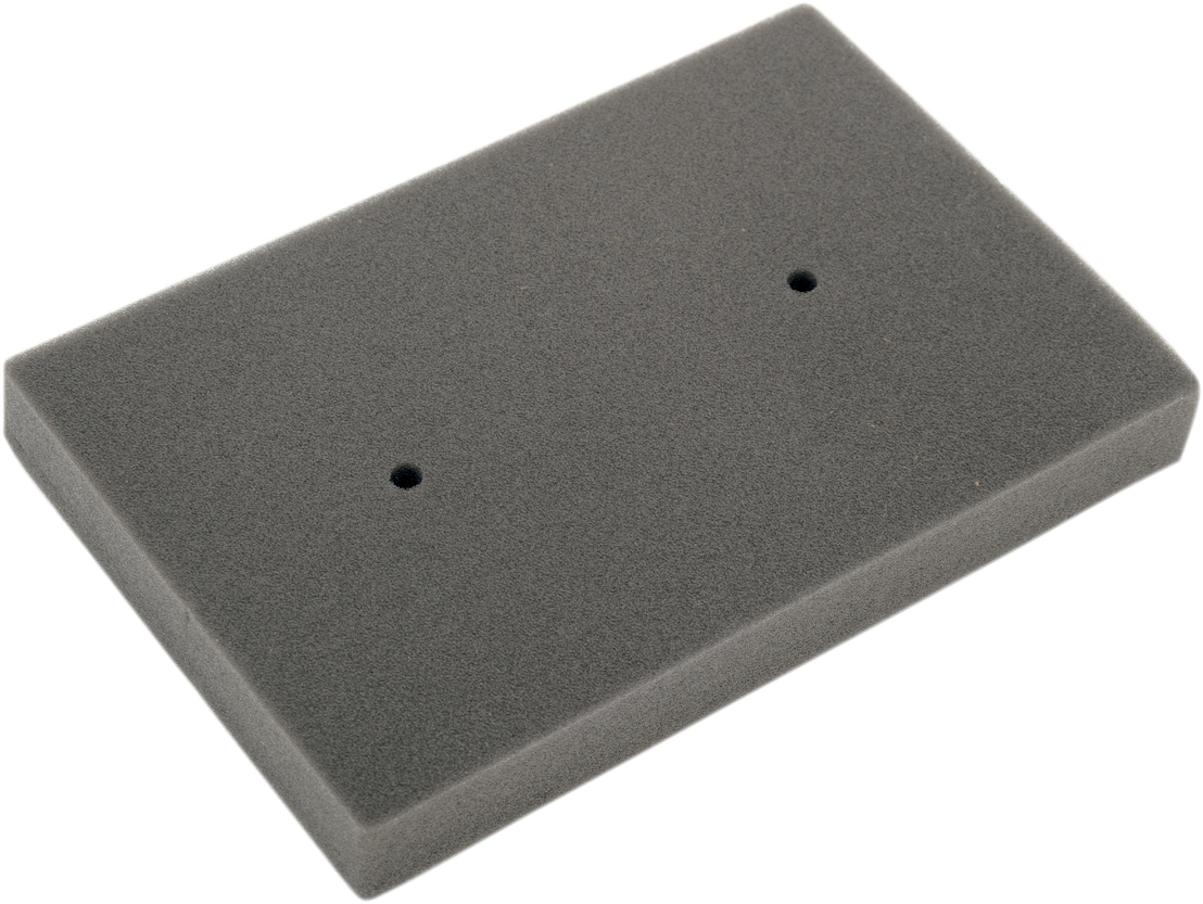 HIFLOFILTRO Replacement OE Air Filter