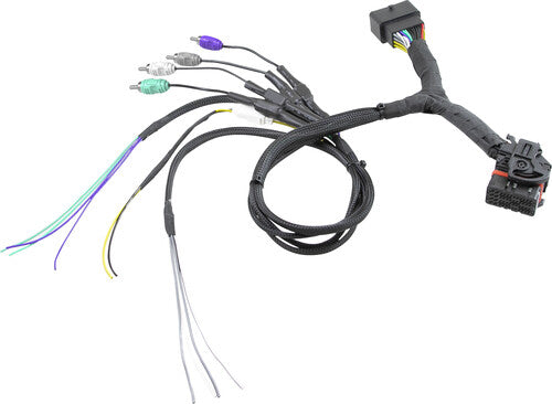 CERWIN VEGA 4-Output T-Harness Kit - CTLINK