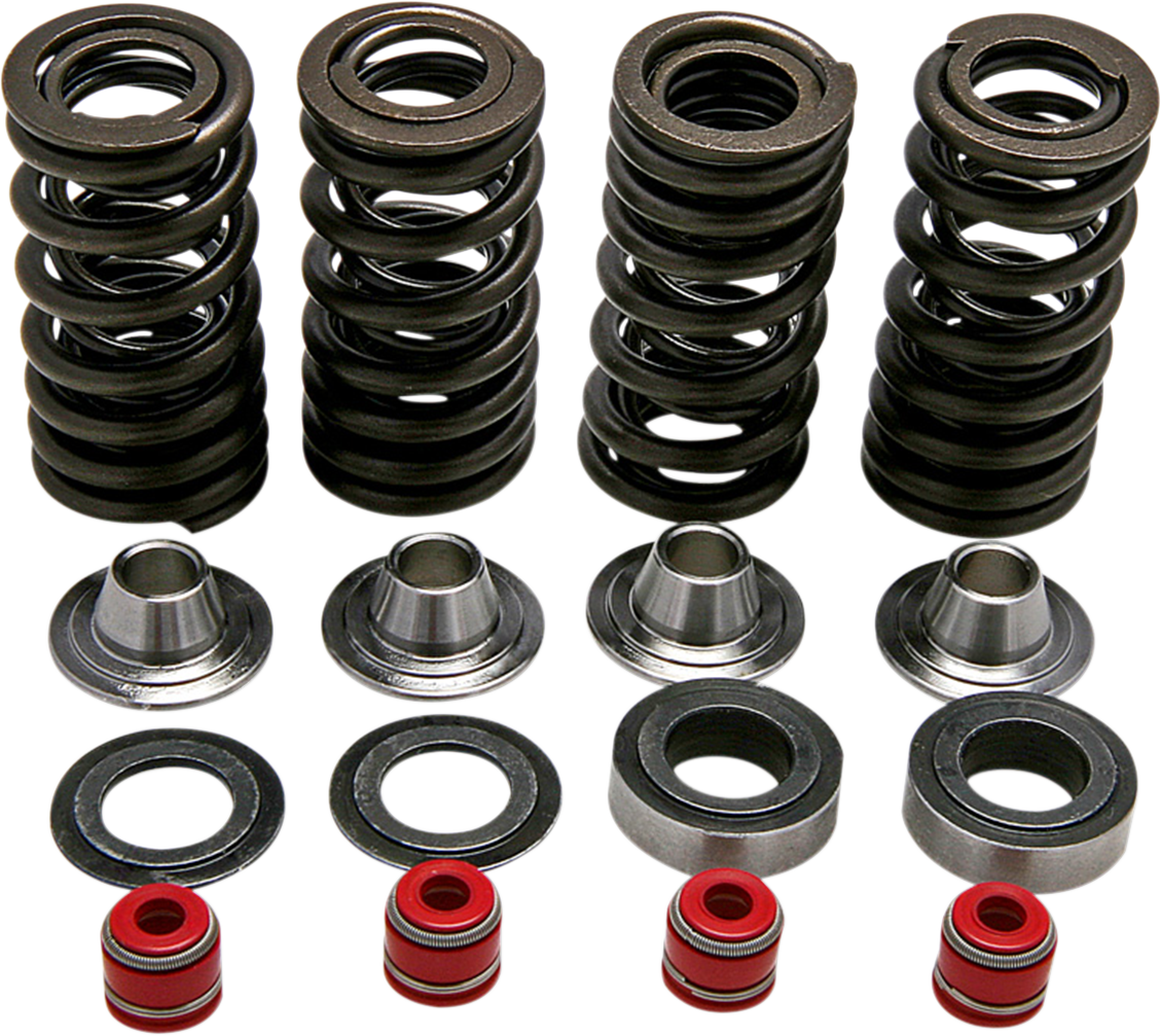 KIBBLEWHITE Valve Spring Kit