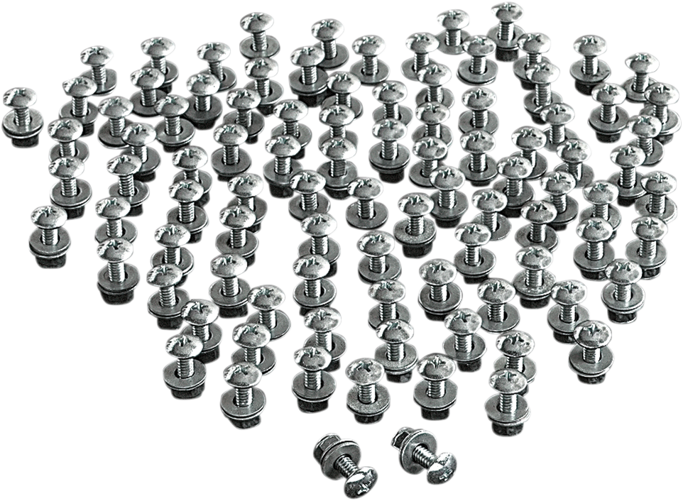 CHRIS PRODUCTS License Plate Bolts - 100PK CH-100