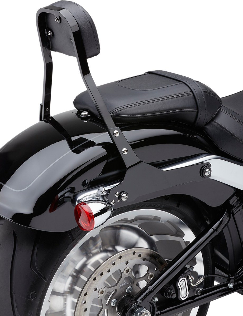 COBRA Detachable Backrest Kit