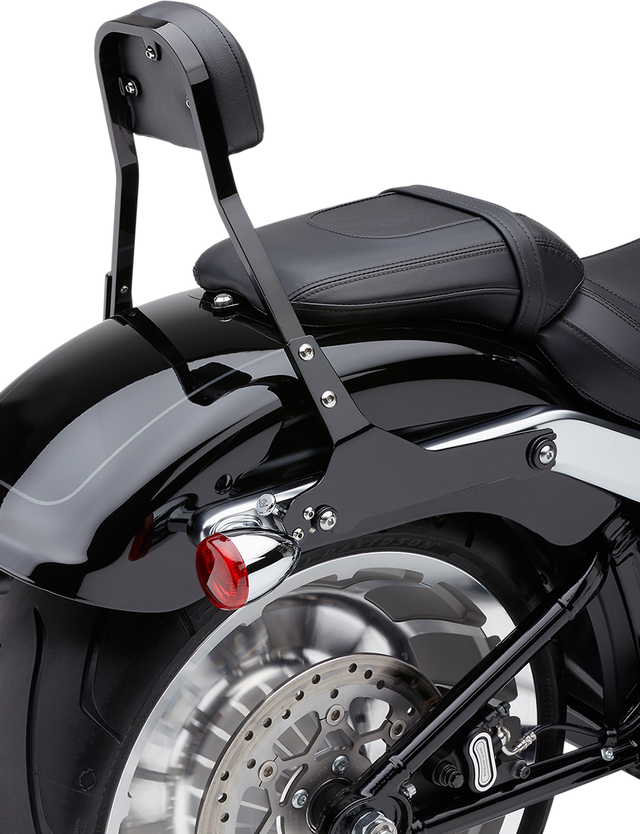 COBRA Detachable Backrest Kit