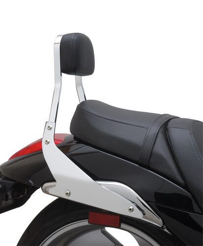 COBRA Metric Mini Sissy Bar - 02-4845