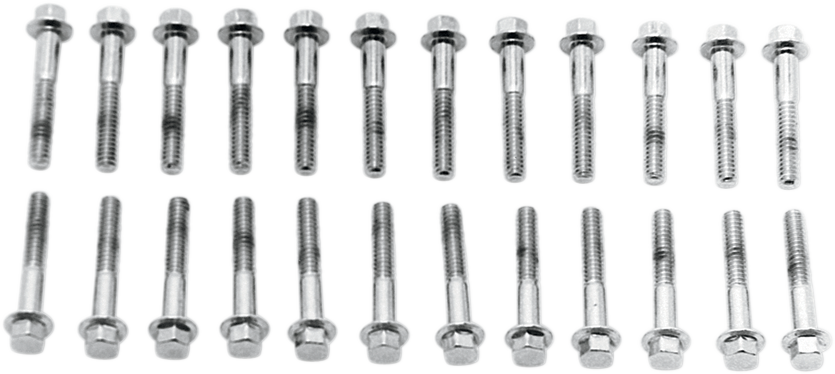 COLONY Screw Kit - Valve Cover/Hex / with Aluminum D Rings / Chrome 2401-0470
