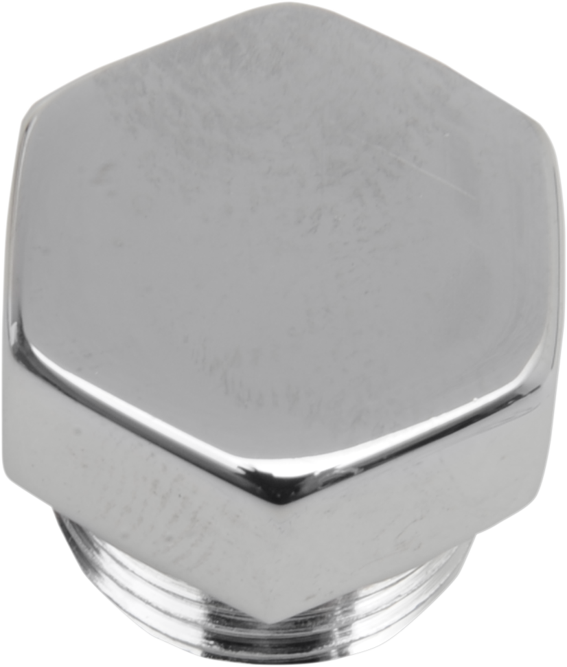 COLONY Timing Plug - Crankcase / Hex / 5/8"-18 DS-193711