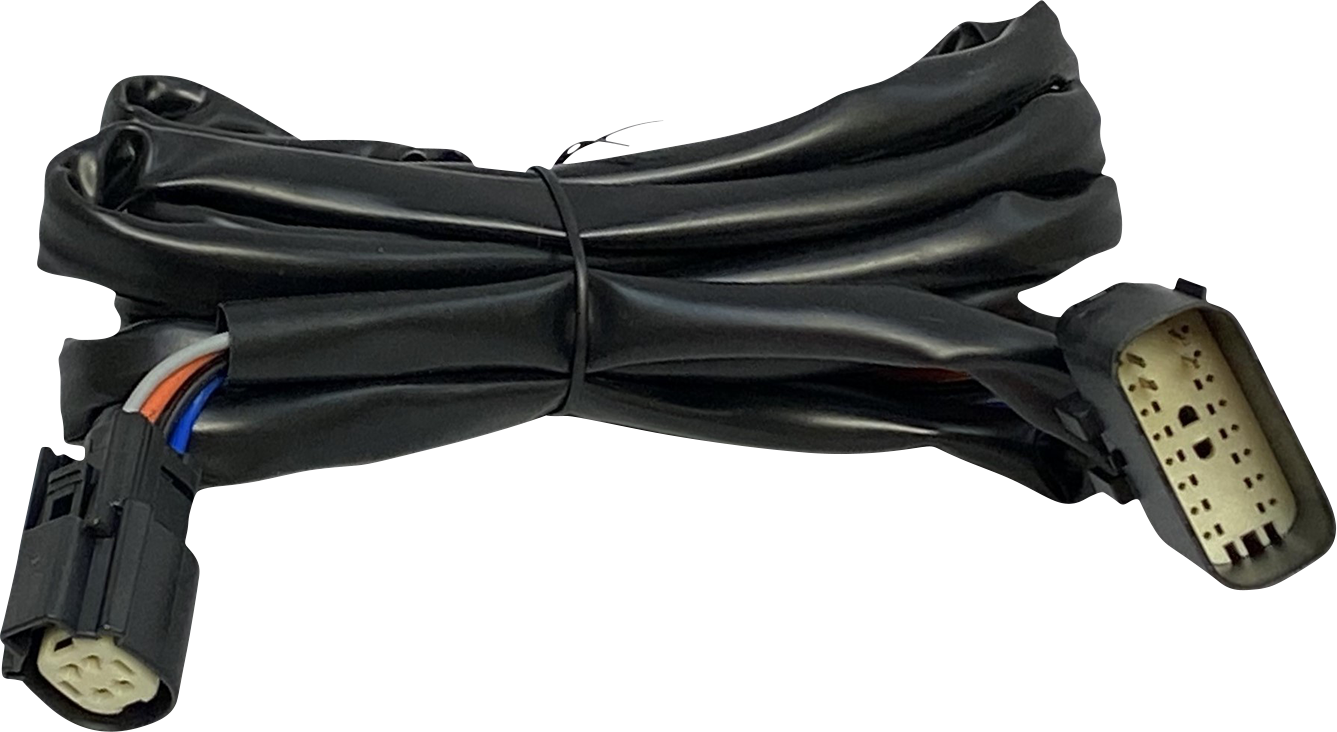 CUSTOM DYNAMICS Harness - Rear Speakers / Tour-Pak 2120-1098