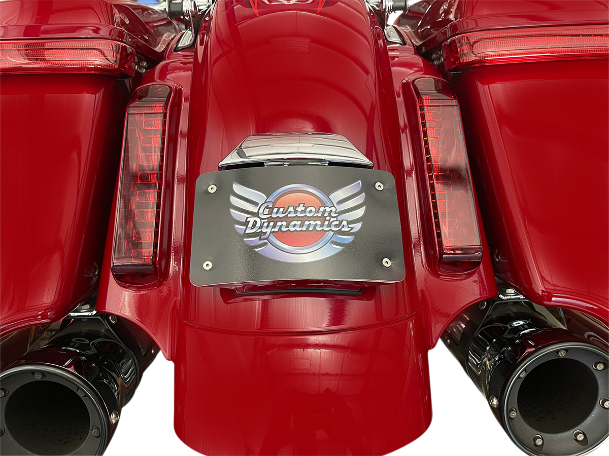 CUSTOM DYNAMICS License Plate Mount - Chrome 2030-1960