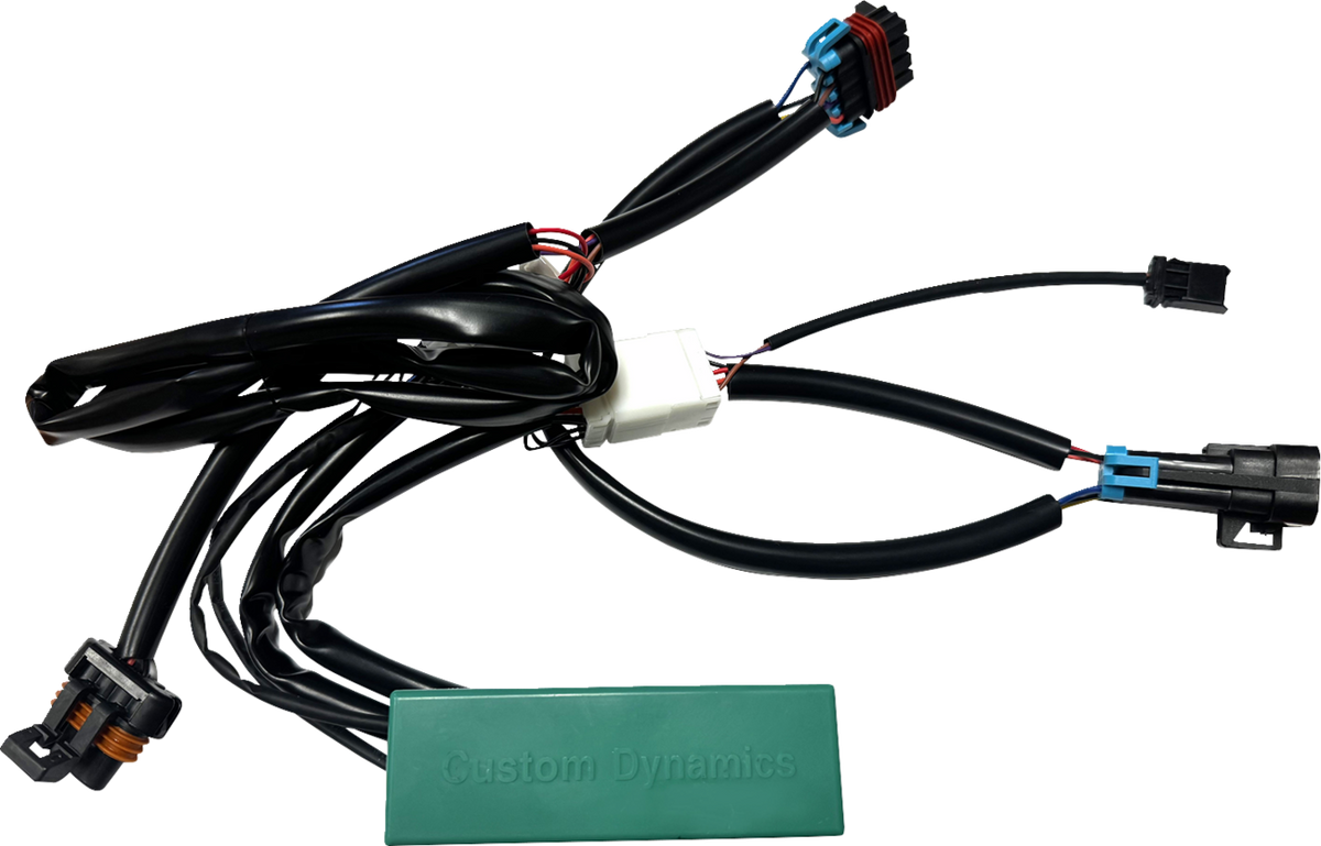CUSTOM DYNAMICS SMART Triple Play® Module - RZR 2050-0513