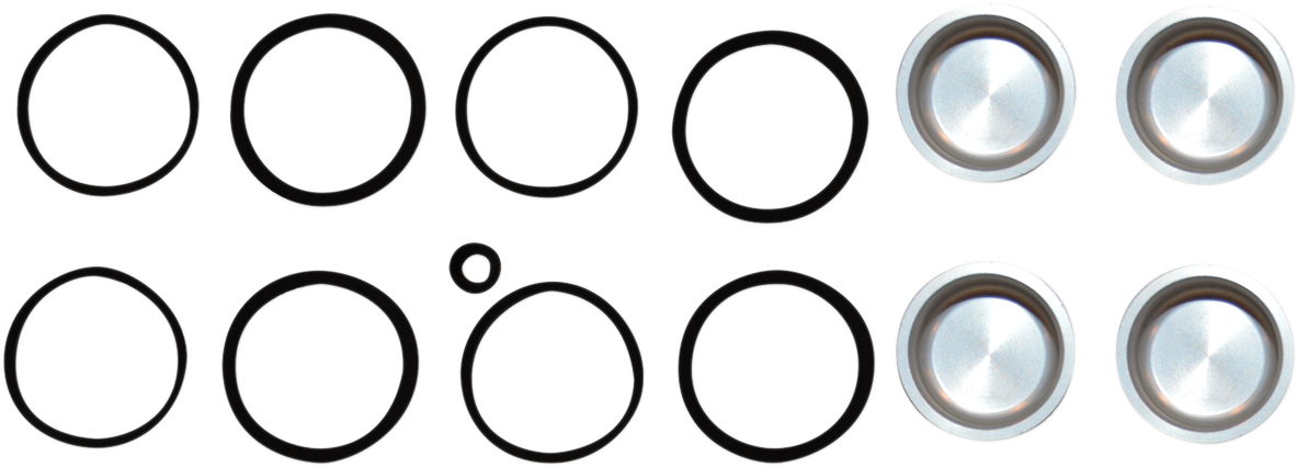 CYCLE CRAFT Caliper Seal Kit and Pistons - 1702-0429