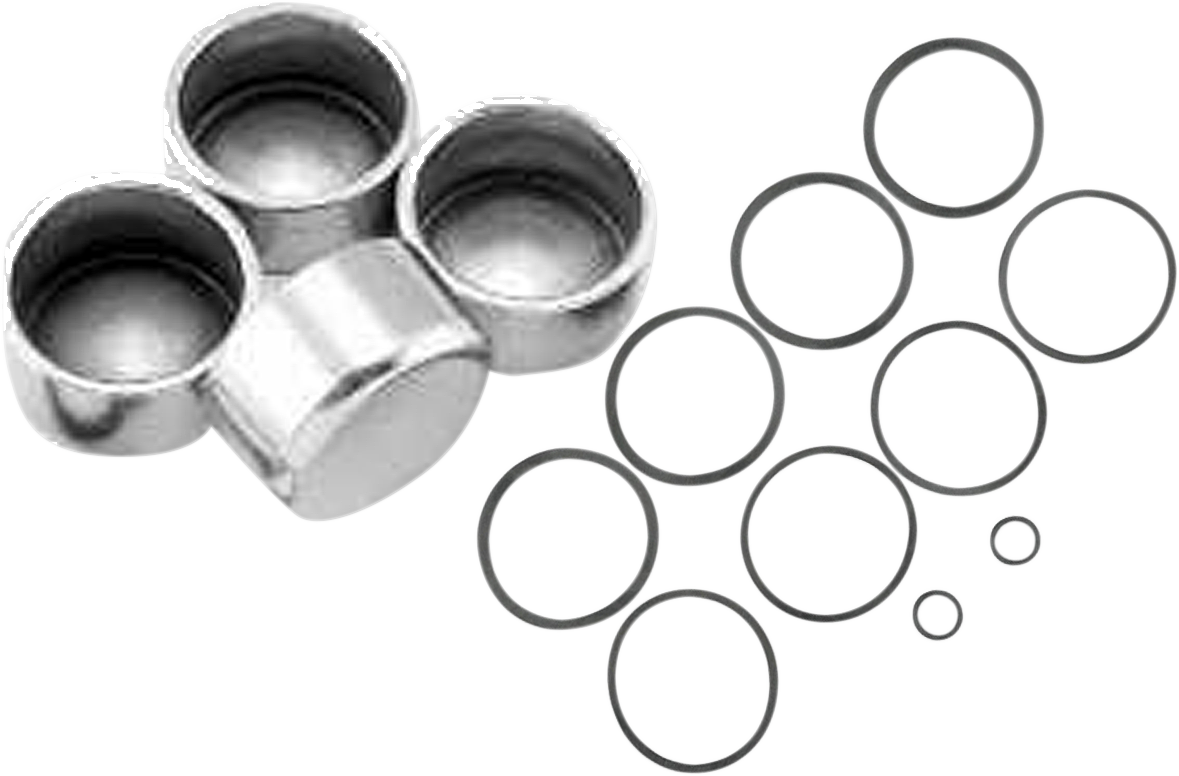 CYCLE CRAFT Caliper Seals & Pistons - 1702-0324