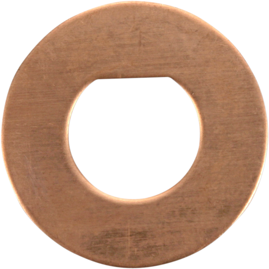 CYCLE CRAFT Friction Washers - 10 Pack 21252