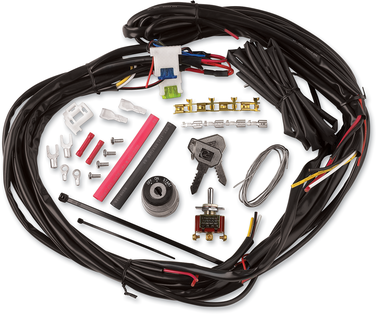 CYCLE VISIONS Custom Wire Harness - 2120-0018