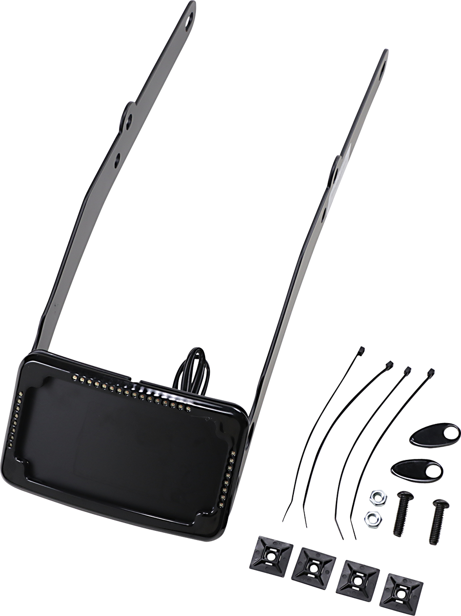 CYCLE VISIONS LP Plate Frame & Mount with Signals - FLSL / Black 2030-1441