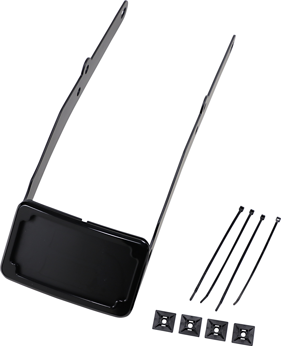 CYCLE VISIONS LP Plate Frame & Mount with Tag Light - FLSL / Black 2030-1443